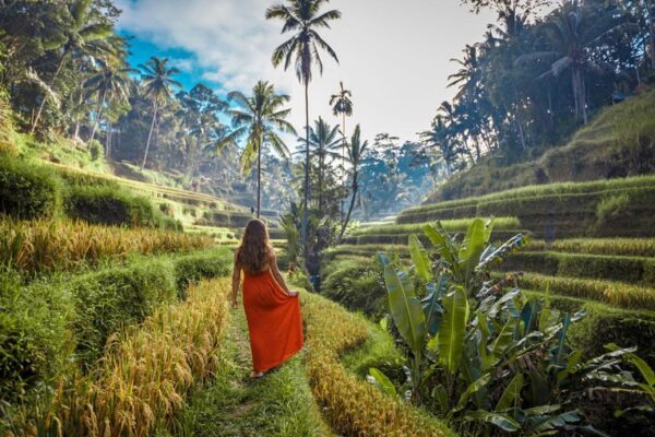 bali4